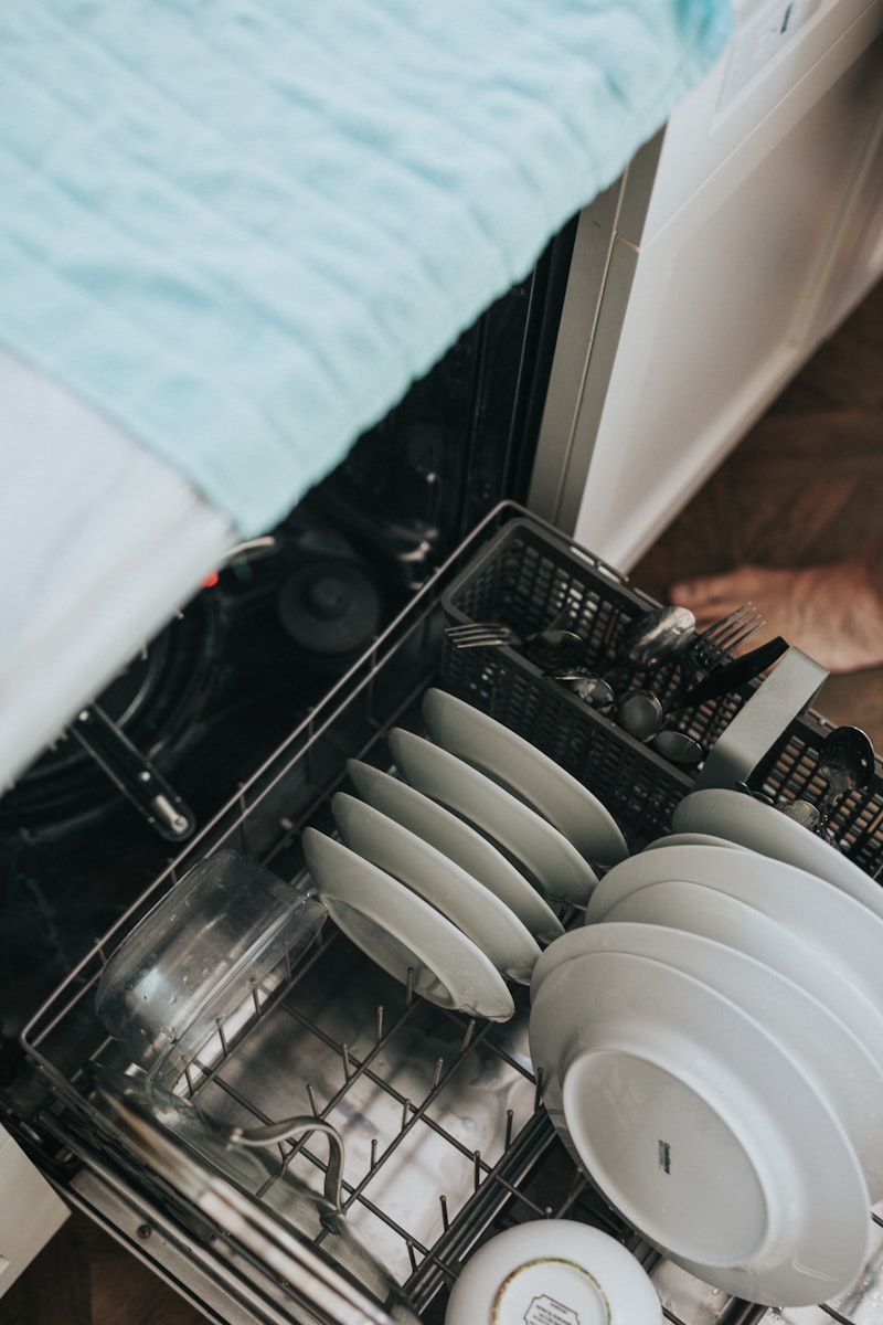 Bosch Dishwasher repair service
